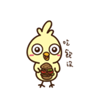 Chicken daily（個別スタンプ：31）