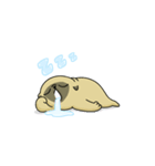 Mochi the pug from 157ofgemma（個別スタンプ：2）