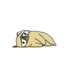 Mochi the pug from 157ofgemma（個別スタンプ：11）