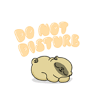 Mochi the pug from 157ofgemma（個別スタンプ：12）