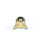 Mochi the pug from 157ofgemma（個別スタンプ：20）
