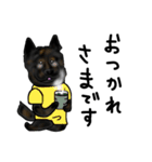 甲斐犬ぺろたん（個別スタンプ：1）