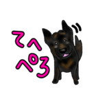 甲斐犬ぺろたん（個別スタンプ：7）