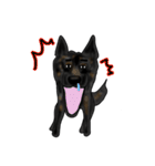 甲斐犬ぺろたん（個別スタンプ：11）