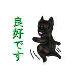 甲斐犬ぺろたん（個別スタンプ：14）