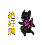 甲斐犬ぺろたん（個別スタンプ：15）