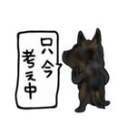 甲斐犬ぺろたん（個別スタンプ：23）