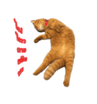 Toff（個別スタンプ：6）