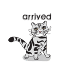 Chi ＆ Polkadot v.2（個別スタンプ：11）