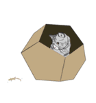 Chi ＆ Polkadot v.2（個別スタンプ：33）