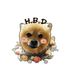 Ceeew Lovely PomPom（個別スタンプ：23）