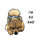 Ceeew Lovely PomPom（個別スタンプ：24）