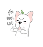 TOD（個別スタンプ：3）
