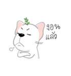 TOD（個別スタンプ：16）