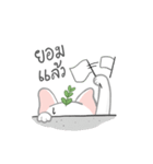 TOD（個別スタンプ：19）
