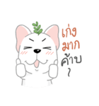 TOD（個別スタンプ：21）