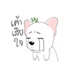 TOD（個別スタンプ：24）