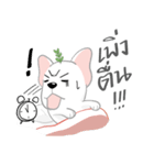 TOD（個別スタンプ：29）