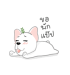 TOD（個別スタンプ：31）