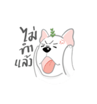 TOD（個別スタンプ：33）