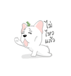 TOD（個別スタンプ：37）