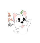TOD（個別スタンプ：40）