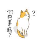 Life of LUCKY（個別スタンプ：1）
