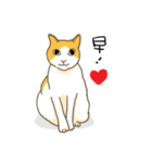 Life of LUCKY（個別スタンプ：3）