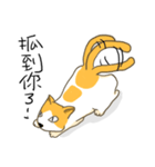 Life of LUCKY（個別スタンプ：4）