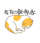 Life of LUCKY（個別スタンプ：5）