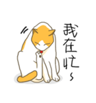 Life of LUCKY（個別スタンプ：6）