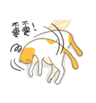 Life of LUCKY（個別スタンプ：7）
