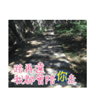 The beautiful view with my words（個別スタンプ：15）