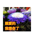 The beautiful view with my words（個別スタンプ：18）