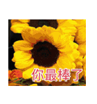 The beautiful view with my words（個別スタンプ：22）