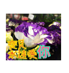 The beautiful view with my words（個別スタンプ：26）