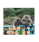 The beautiful view with my words（個別スタンプ：31）