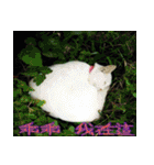 The beautiful view with my words（個別スタンプ：40）