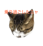 ごまの日常会話（個別スタンプ：7）