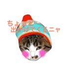 ごまの日常会話（個別スタンプ：8）