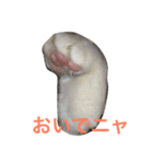 ごまの日常会話（個別スタンプ：13）