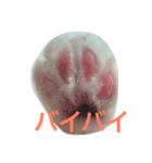 ごまの日常会話（個別スタンプ：14）