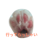 ごまの日常会話（個別スタンプ：15）