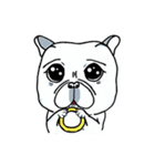 E_Chor The Frenchie（個別スタンプ：8）