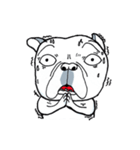 E_Chor The Frenchie（個別スタンプ：11）