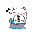E_Chor The Frenchie（個別スタンプ：21）
