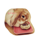 うさぎのもっち☆彡（個別スタンプ：5）