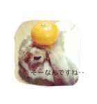 うさぎのもっち☆彡（個別スタンプ：7）