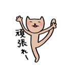 ねこ太の日常スタンプ（個別スタンプ：17）