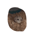 ネズミちゃんスタンプ（個別スタンプ：7）